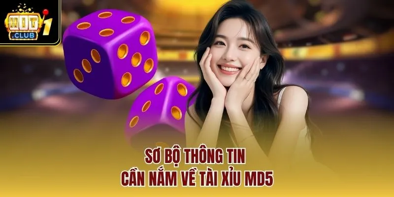 Sơ bộ thông tin cần nắm về tài xỉu MD5